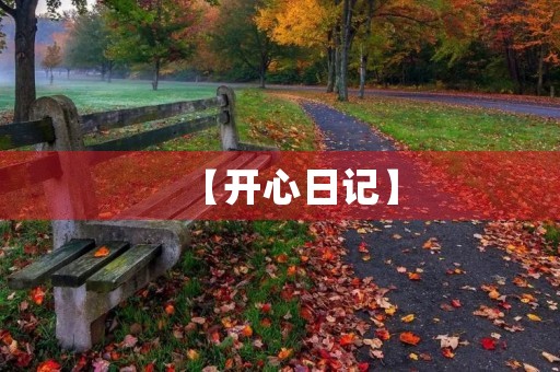 【开心日记】