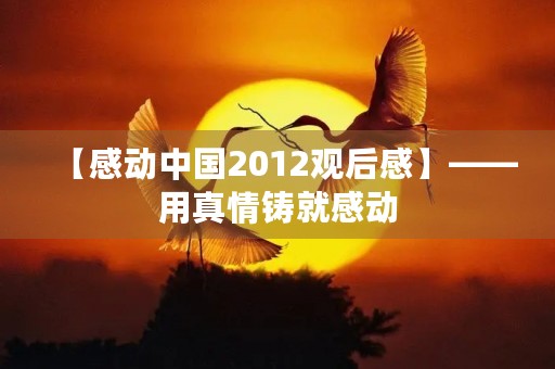 【感动中国2012观后感】——用真情铸就感动 【感动中国2012观后感】——用真情铸就感动