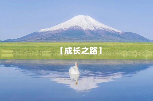 【成长之路】