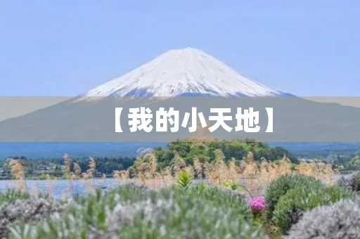 【我的小天地】 【我的小天地】