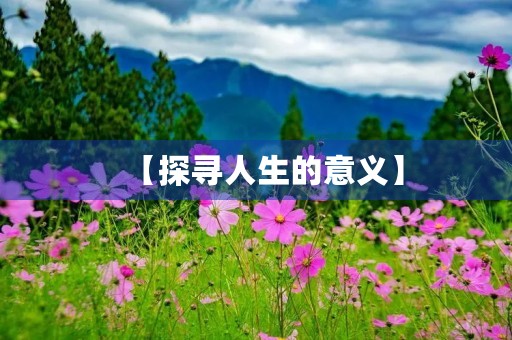 【探寻人生的意义】