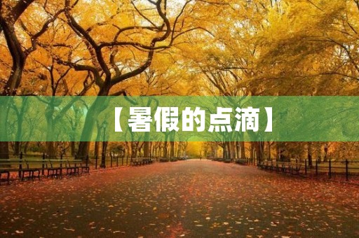 【暑假的点滴】 【暑假的点滴】