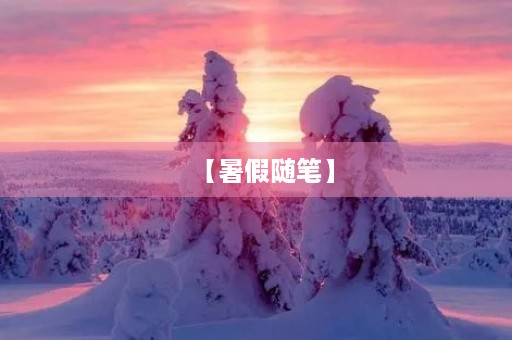 【暑假随笔】
