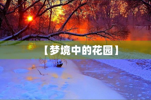 【梦境中的花园】 【梦境中的花园】