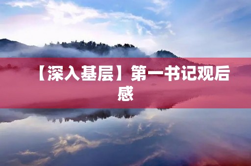 【深入基层】第一书记观后感