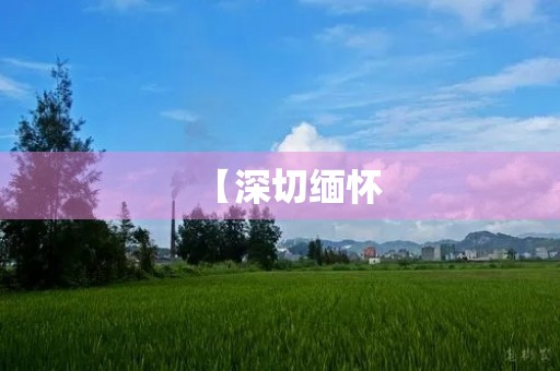 【深切缅怀,共同战“疫”】 【深切缅怀,共同战“疫”】