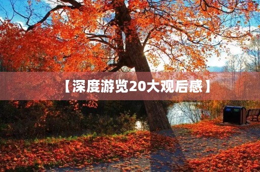 【深度游览20大观后感】