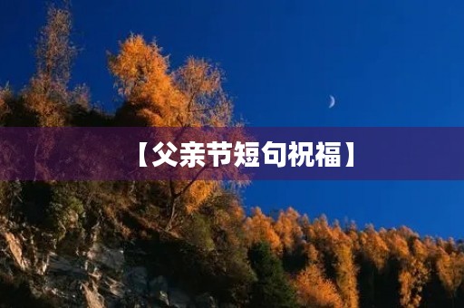 【父亲节短句祝福】