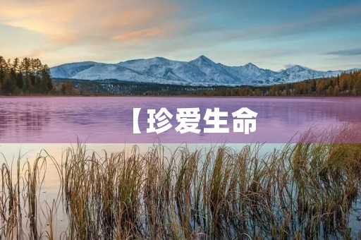 【珍爱生命,远离毒品】 【珍爱生命,远离毒品】