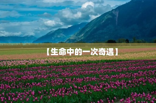 【生命中的一次奇遇】
