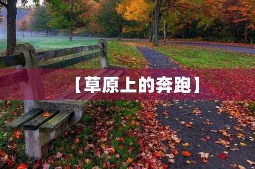 【草原上的奔跑】 【草原上的奔跑】