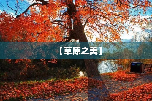 【草原之美】