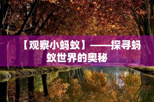 【观察小蚂蚁】——探寻蚂蚁世界的奥秘