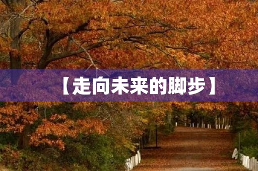 【走向未来的脚步】 【走向未来的脚步】
