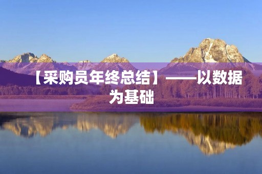 【采购员年终总结】——以数据为基础，以创新为驱动