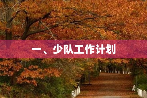 一、少队工作计划
