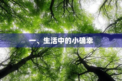 一、生活中的小确幸 一、生活中的小确幸