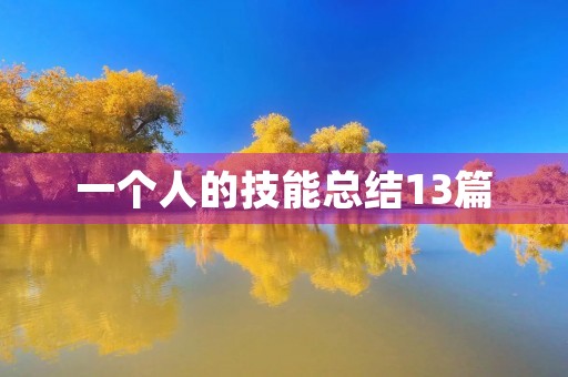 一个人的技能总结13篇