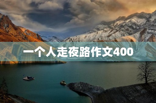 一个人走夜路作文400