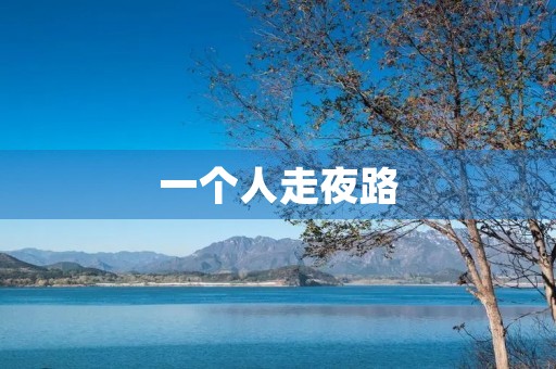 一个人走夜路