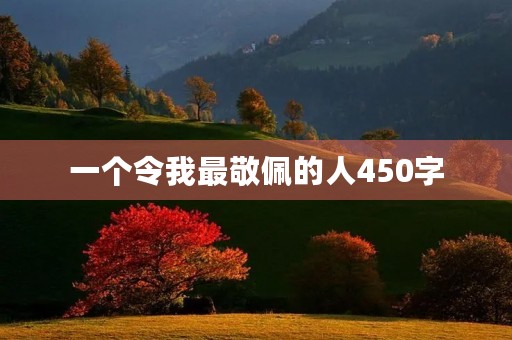 一个令我最敬佩的人450字
