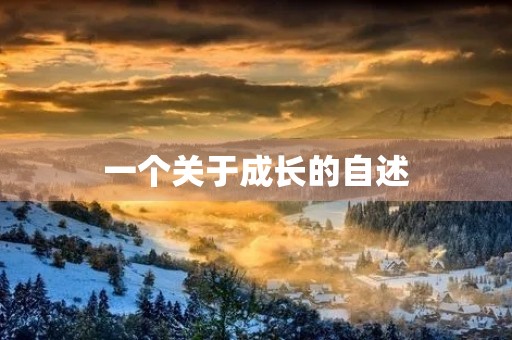一个关于成长的自述