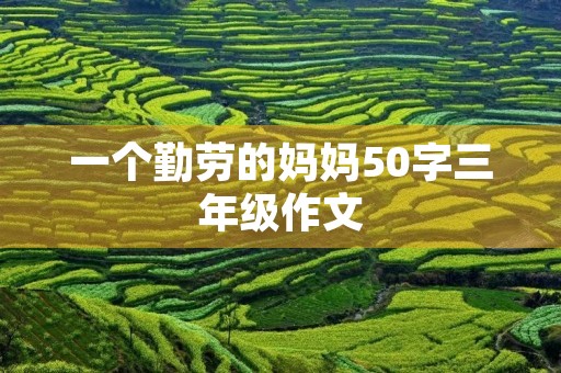 一个勤劳的妈妈50字三年级作文
