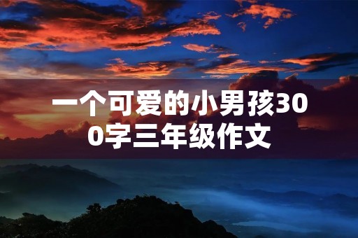 一个可爱的小男孩300字三年级作文 一个可爱的小男孩300字三年级作文