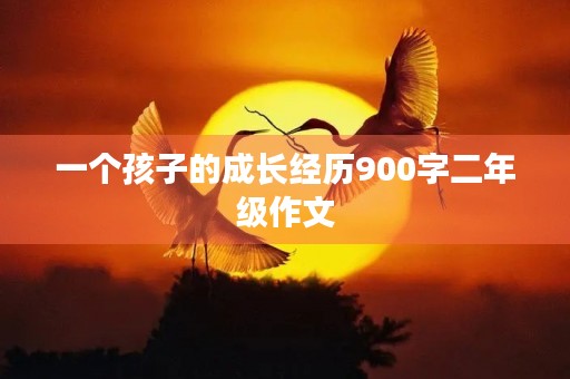 一个孩子的成长经历900字二年级作文