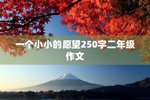 一个小小的愿望250字二年级作文