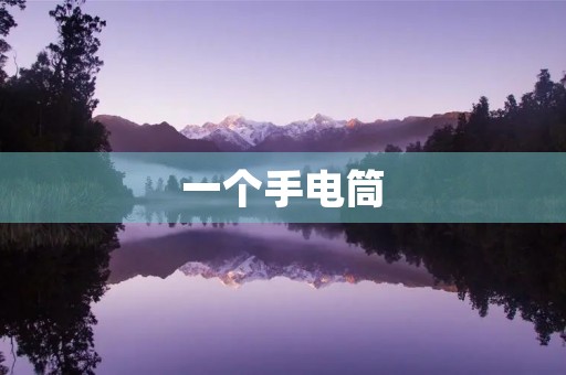 一个手电筒 一个手电筒