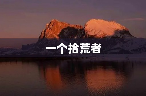 一个拾荒者