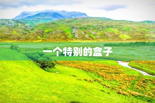 一个特别的盒子 一个特别的盒子
