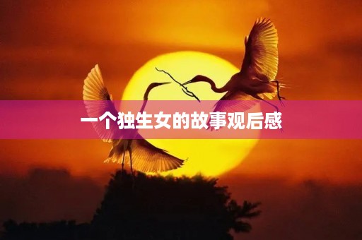 一个独生女的故事观后感