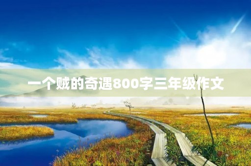 一个贼的奇遇800字三年级作文 一个贼的奇遇800字三年级作文