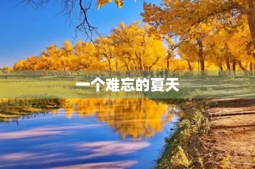 一个难忘的夏天 一个难忘的夏天