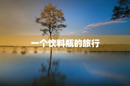 一个饮料瓶的旅行