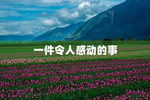 一件令人感动的事 一件令人感动的事