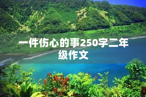 一件伤心的事250字二年级作文