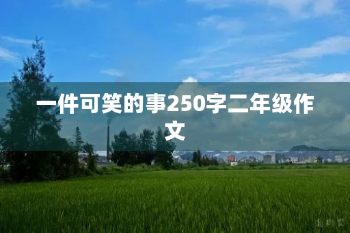 一件可笑的事250字二年级作文