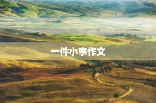 一件小事作文