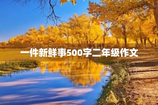 一件新鲜事500字二年级作文