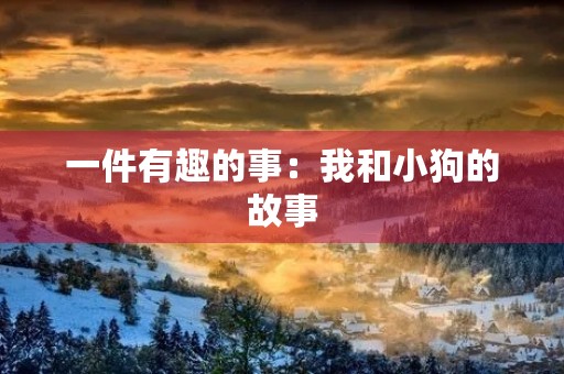 一件有趣的事:我和小狗的故事 一件有趣的事:我和小狗的故事