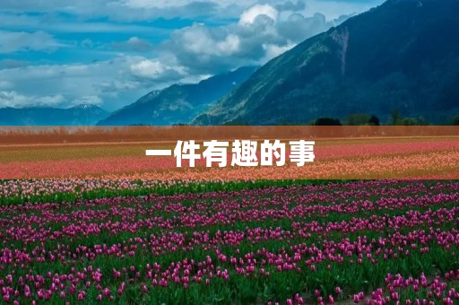 一件有趣的事