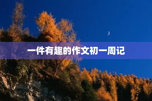 一件有趣的作文初一周记 一件有趣的作文初一周记