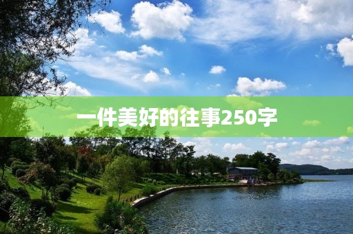 一件美好的往事250字