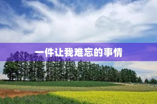 一件让我难忘的事情