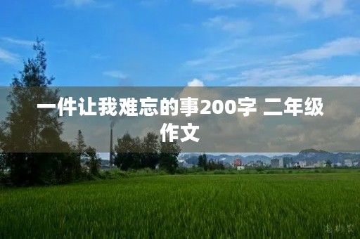 一件让我难忘的事200字 二年级作文