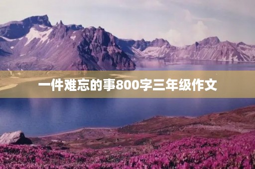 一件难忘的事800字三年级作文 一件难忘的事800字三年级作文