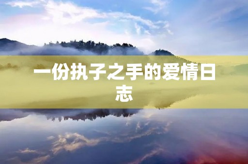 一份执子之手的爱情日志